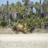 Todos Santos, Mexico, Top Emerging Destination in the World