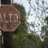 Todos Santos Water is Worth More than Gold to Its Citizens