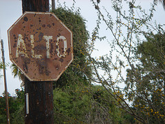Save the Water - Alto Stop the Gold Mine