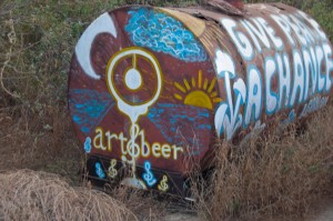 art-and-beer-todos-santos-85862