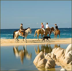 horseback-riding