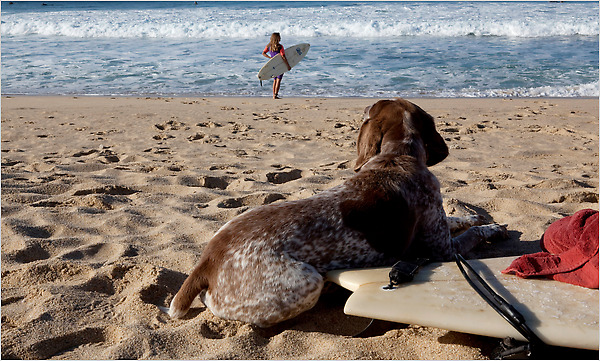 In Todos Santos, Mexico, on the Baja Peninsula, surfers keep their favorite spots to themselves.